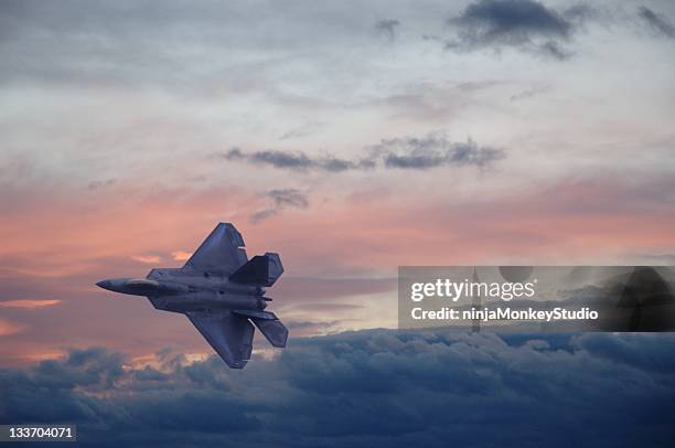 fighter jet - air force stock pictures, royalty-free photos & images