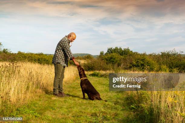 puppy training - dog whistle stock pictures, royalty-free photos & images