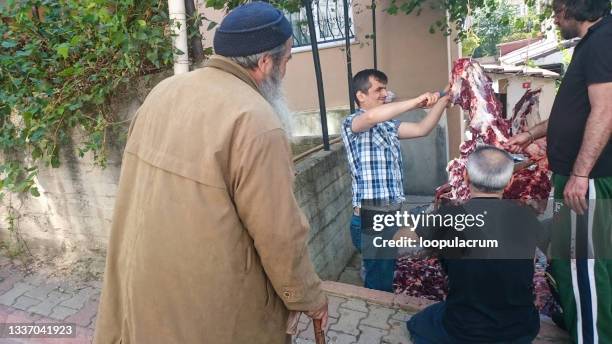 türkischer mann schneidet das tier in eid al-adha - begging animal behavior stock-fotos und bilder