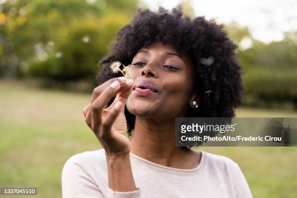 young woman blowing dandelion flower - close up on dandelion spores stock pictures, royalty-free photos & images