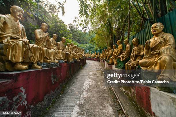 rows of golden statue at ten thousand buddhas monastery - buddha stock-fotos und bilder