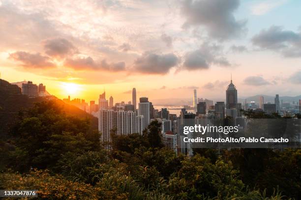 view of cityscape with modern office buildings near victoria harbour, hong kong - central plaza hong kong stock-fotos und bilder