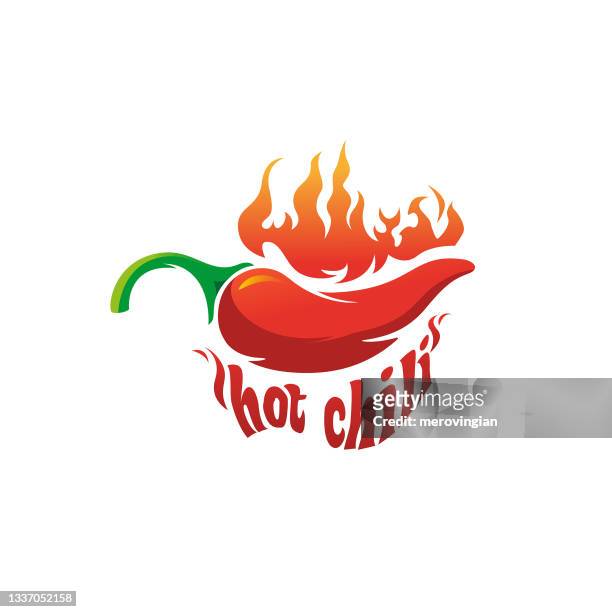 chili pepper logo designs concept. flaming chile pepper and lettering - flame logo 幅插畫檔、美工圖案、卡通及圖標