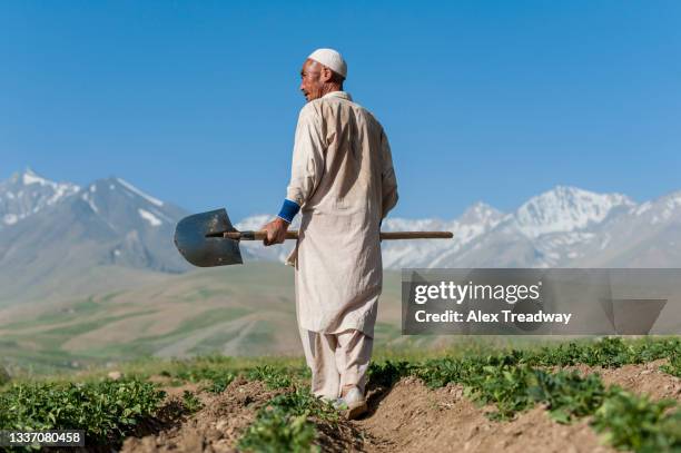 a potato farmer works in his fields in the  fulladi valley with views of snow covered mountains in the distance - low angle view of wheat growing on field against sky fotografías e imágenes de stock