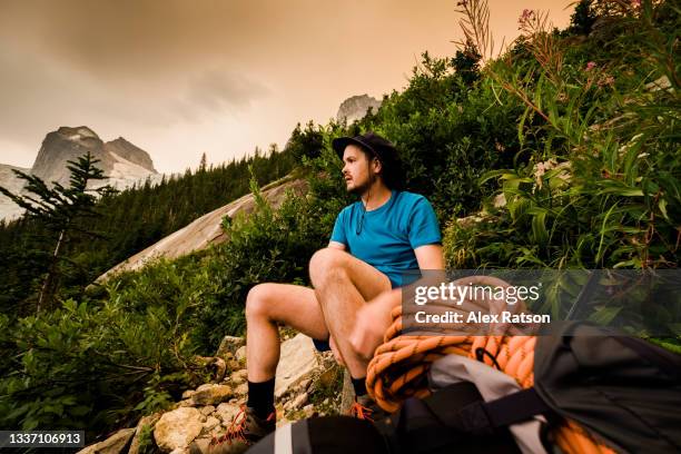 backpacker sits in alpine meadows at sunset in the bugaboo mountains - golden british columbia stock pictures, royalty-free photos & images