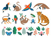 Wild rainforest animals, birds, flowers and leaves