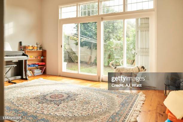 dog in living room - sliding door imagens e fotografias de stock