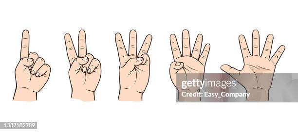 finger zum unterrichten des frühen zählens in der kindererziehung stock illustrationhände - körperteile nummer 0, 1, 2, 3, 4, 5 - handgelenk stock-grafiken, -clipart, -cartoons und -symbole