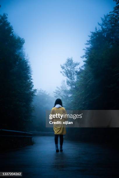 lonely woman is walking on fog road - skog siluett bildbanksfoton och bilder