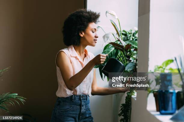 simple houseplant care tips to keep your plants healthy - peace lily stock pictures, royalty-free photos & images
