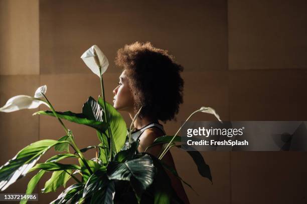 horizontal shot of a beautiful african american woman holding a houseplant (spathiphyllum) - beige dress stock pictures, royalty-free photos & images