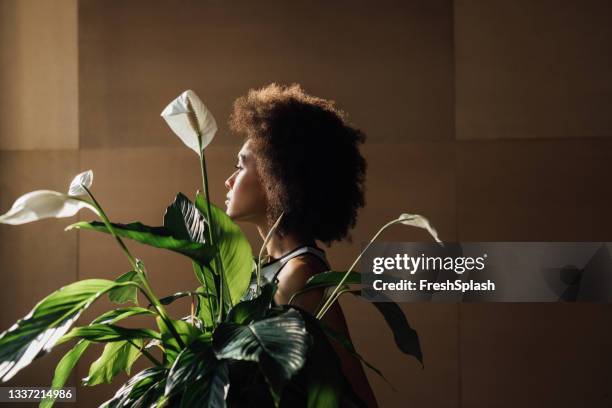 horizontal shot of a beautiful african american woman holding a houseplant (spathiphyllum) - peace lily 個照片及圖片檔