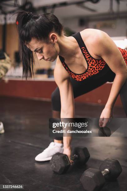 allenamento incrociato - sollevamento pesi femminile foto e immagini stock