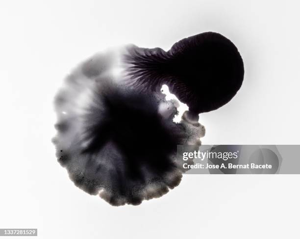 splashes of a drop of black paint on a white canvas. - インク ストックフォトと画像