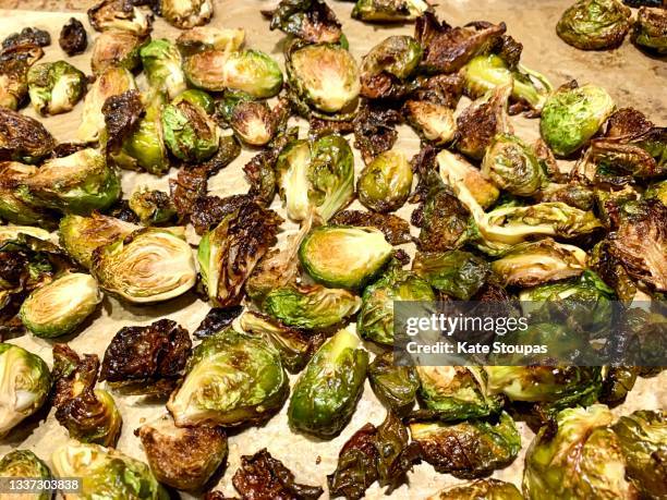 roasted brussels sprouts - sprouts stock-fotos und bilder