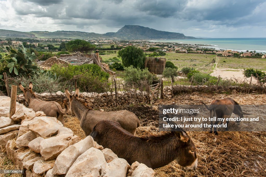 Custonaci, Trapani, Sicily island, Italy