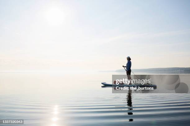 woman standing on stand up paddle board by the sea, the blue sky is reflected in the smooth water - glatte oberfläche stock-fotos und bilder