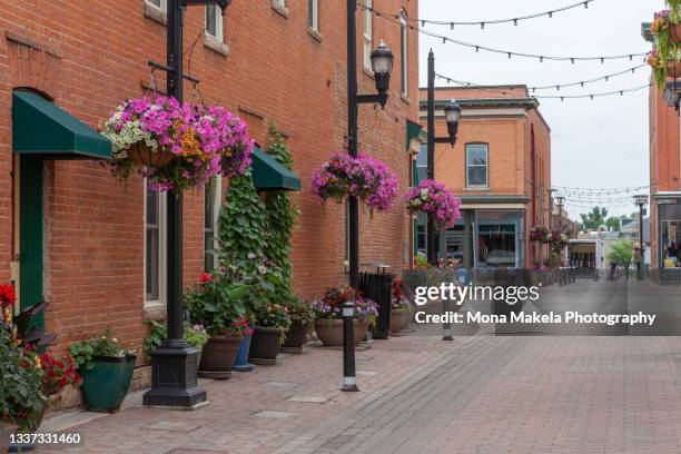 in old town fort collins, colorado - fort collins fotografías e imágenes de stock