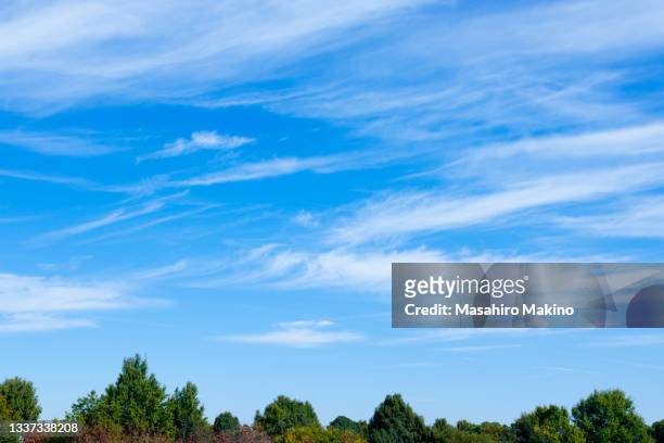 cirrus clouds - 巻雲 ストックフォトと画像