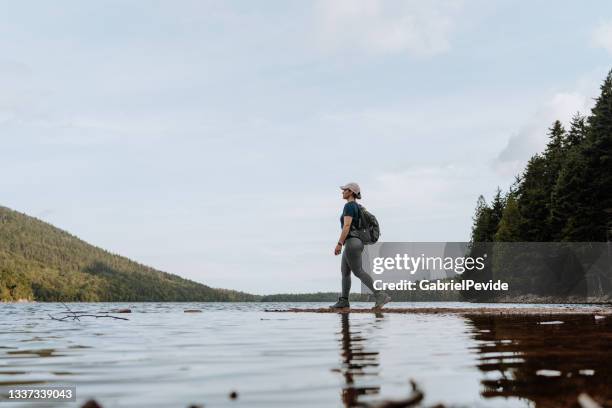 lonely woman hiking in acadia national park - acadia national park stock pictures, royalty-free photos & images