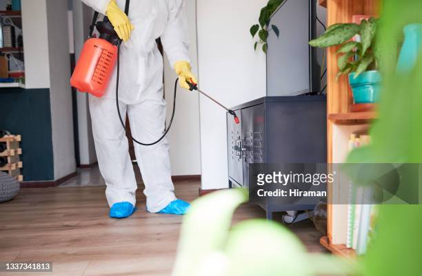 primer plano de un limpiador irreconocible en un traje de materiales peligrosos usando un pulverizador químico para desinfectar una casa - crime scene cleaners fotografías e imágenes de stock