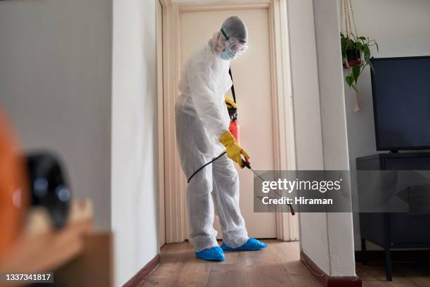 foto de un hombre con un traje de materiales peligrosos usando un pulverizador químico para desinfectar una casa - crime scene cleaners fotografías e imágenes de stock