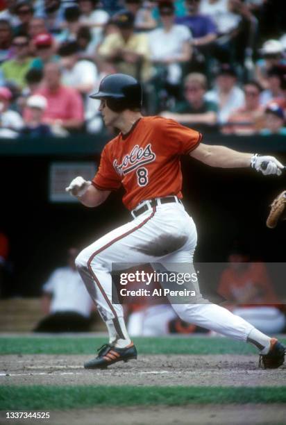 Shortstop Cal Ripken, Jr. #8 of the Baltimore Orioles is shown in the game between the Toronto Blue Jays and the Baltimore Orioles at Camden Yards on...