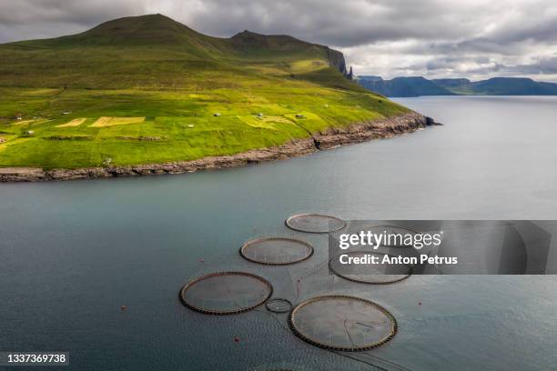 aerial view of a salmon fish farm near the faroe islands - faroe islands food stock pictures, royalty-free photos & images