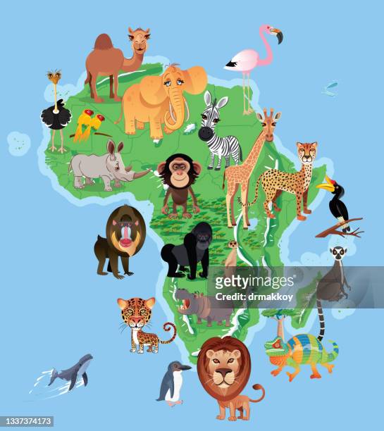 illustrations, cliparts, dessins animés et icônes de l’afrique et les animaux - safari animals stock