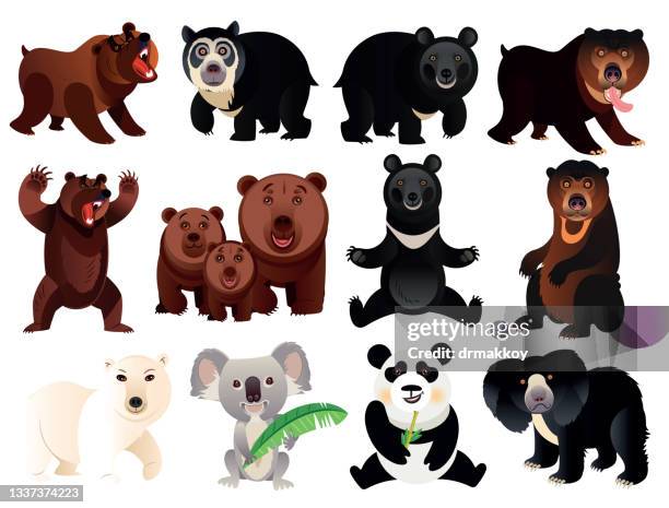 bears - bear roar stock illustrations