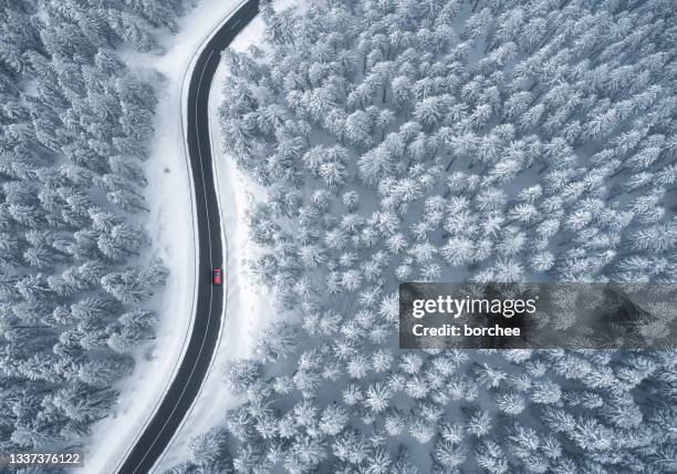 guidare nella foresta innevata - inverno foto e immagini stock