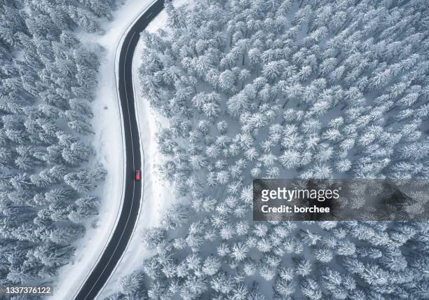 driving in snowcapped forest - winter stock pictures, royalty-free photos & images