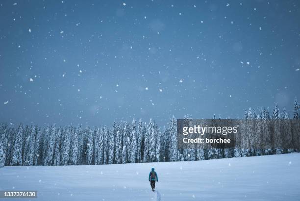 winter walk - slovenia winter stock pictures, royalty-free photos & images