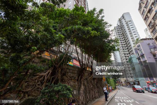 Walled City Hong Kong Photos and Premium High Res Pictures - Getty Images