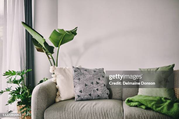 shot of a sofa in the lounge at home - woonkamer stockfoto's en -beelden