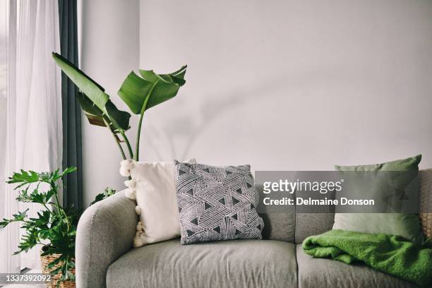 shot of a sofa in the lounge at home - lounge pillow imagens e fotografias de stock