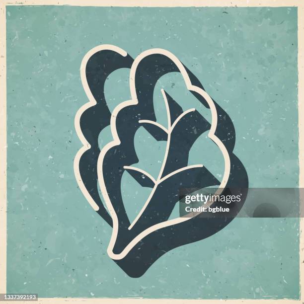 79点のリーフレタスイラスト素材 Getty Images 79点のリーフレタスイラスト素材 Getty Images