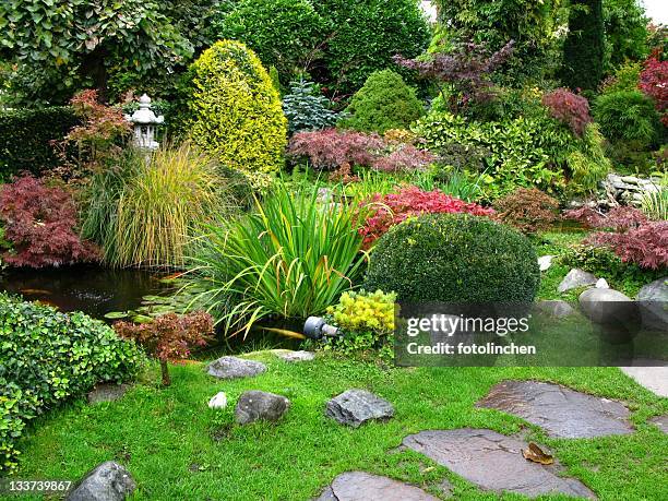 japanese garden - buxus stockfoto's en -beelden