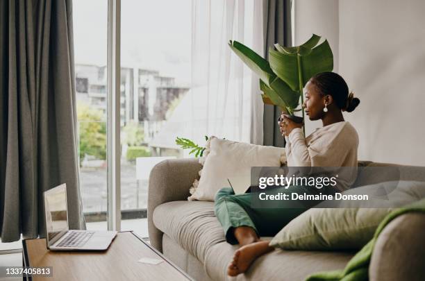 shot of a young woman having coffee and relaxing at home - serene people stockfoto's en -beelden