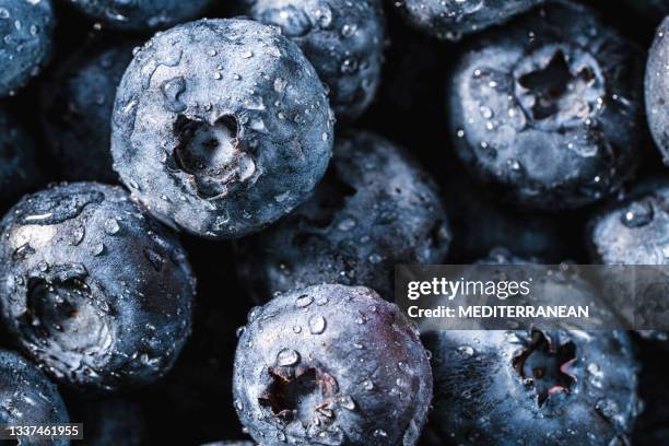 blueberries closeup background full frame macro blueberry with dew water drops - blauwe bosbes stockfoto's en -beelden