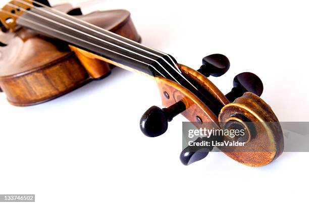 violin - violin stock pictures, royalty-free photos & images