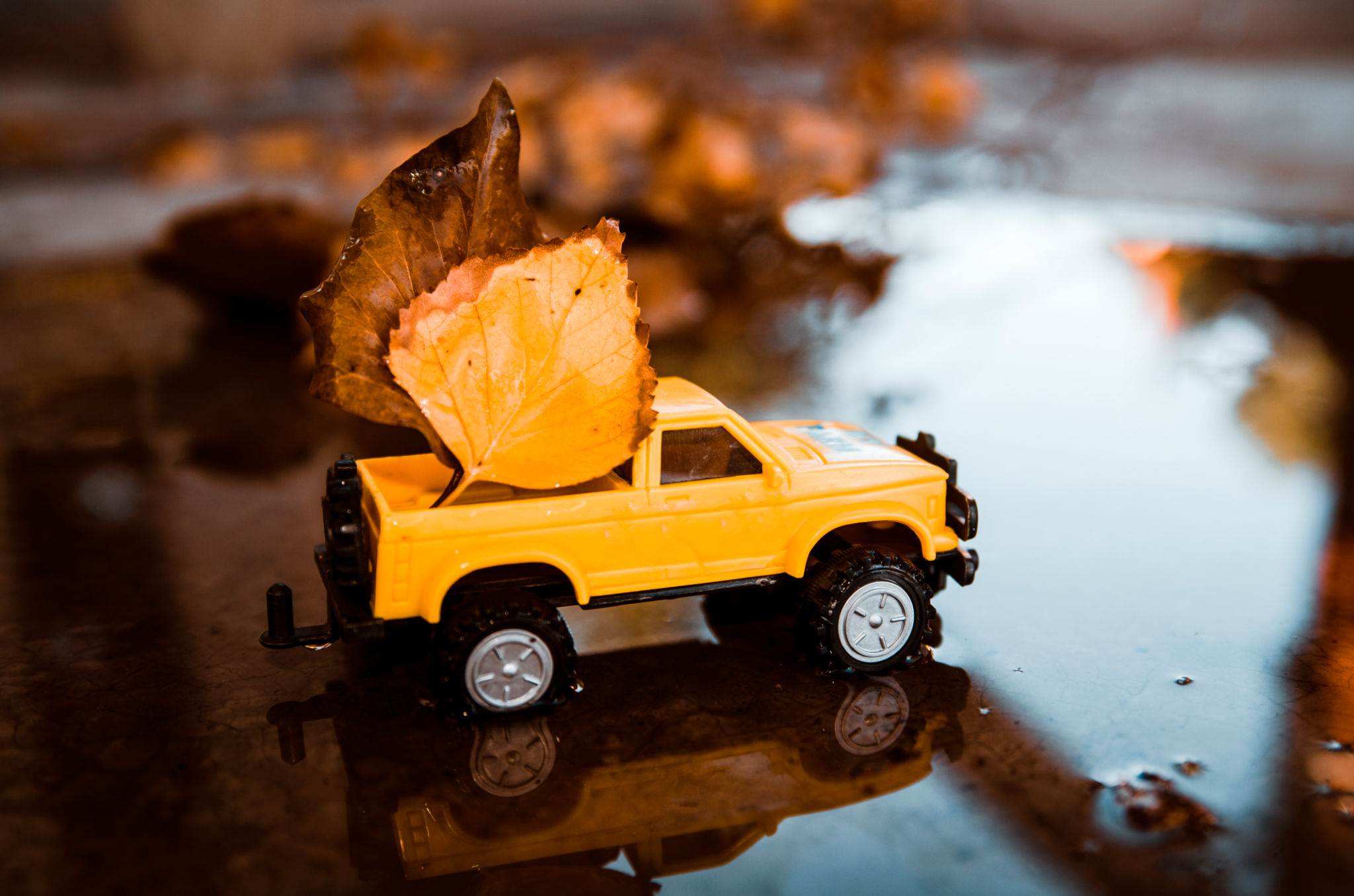 autumn rc car
