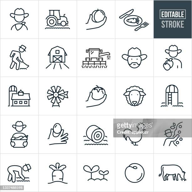 farmen von symbolen für dünne linien - bearbeitbarer strich - hay stock-grafiken, -clipart, -cartoons und -symbole