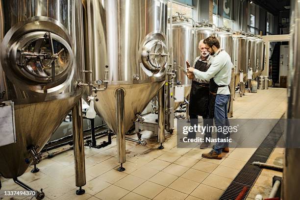 senior y su hijo en una cervecería familiar verificando la calidad juntos - destilería fotografías e imágenes de stock