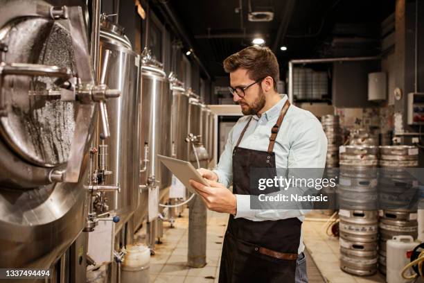 young man checking quality of beer in brew house - speciaalbier stockfoto's en -beelden