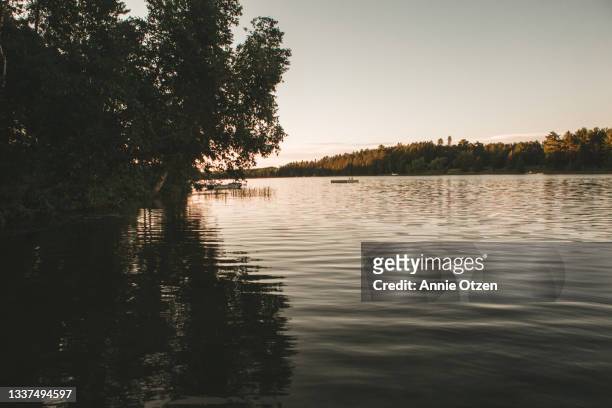view of a minnesota lake - minnesota lake stock pictures, royalty-free photos & images