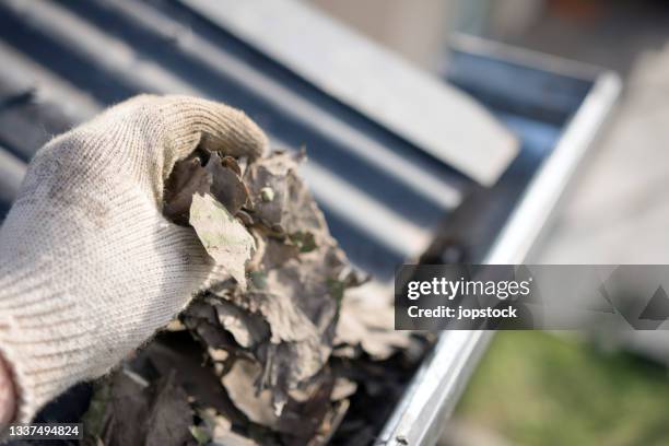 male hand removing gutter leaves - dakgoot stockfoto's en -beelden