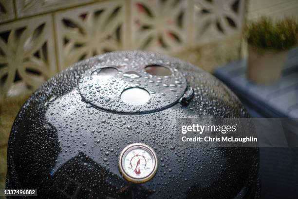 Barbeque Raining Rain Bbq Photos and Premium High Res Pictures - Getty Images