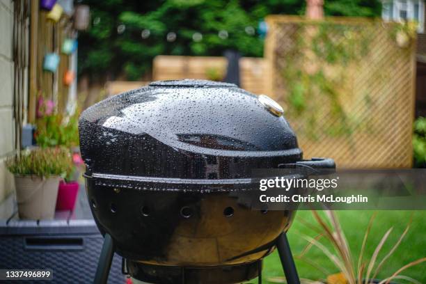 Barbeque Raining 233 Bbq Rain Stock Photos, High-Res Pictures, and Images - Getty Images