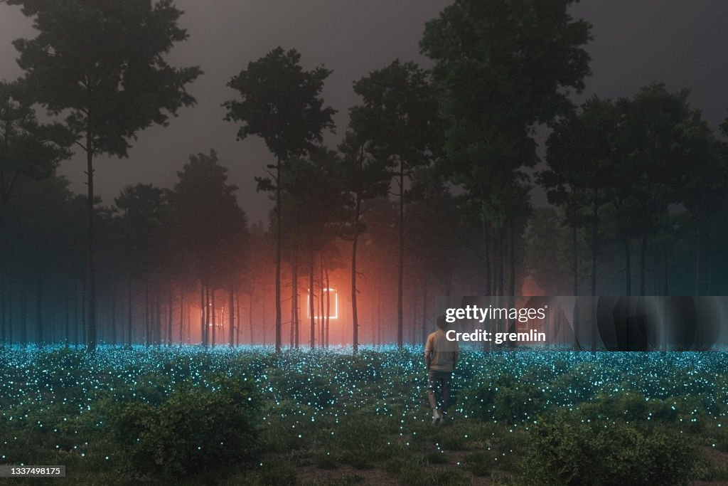 Man in forest walking towards mysterious object